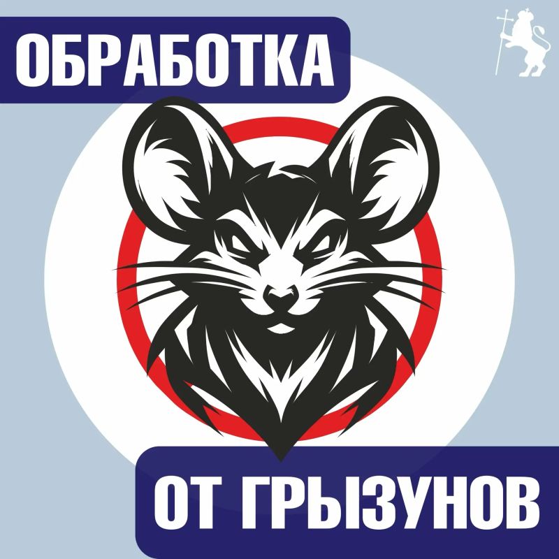 Вниманию жителей города! Информация о проведении дератизации