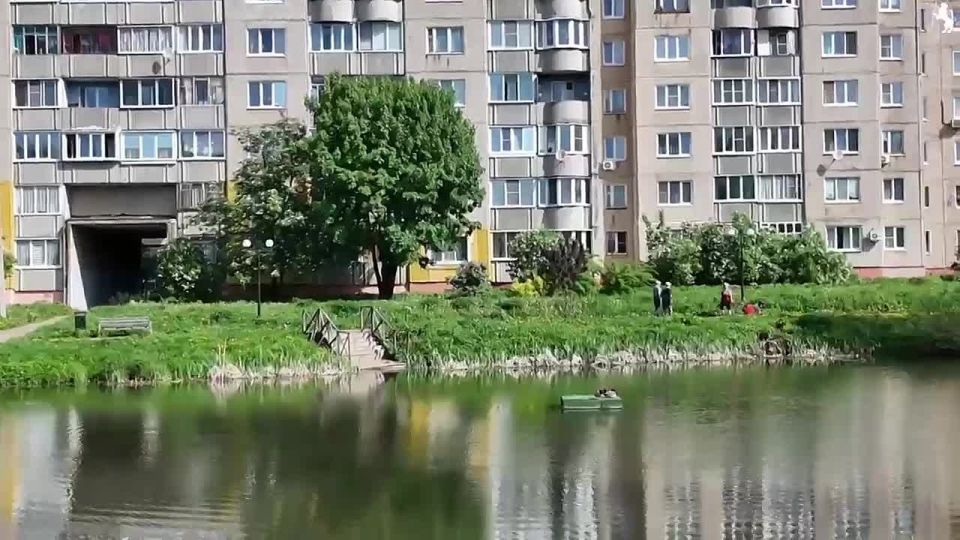 Утиные «новоселья»!. Пруд на улице Комиссарова давно стал одним из любимых мест отдыха владимирцев