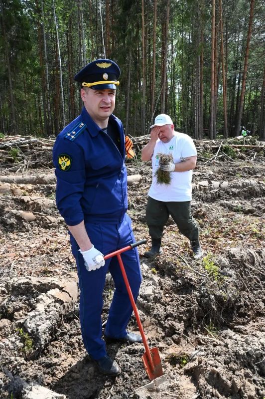 Гусь-Хрустальный межрайонный прокурор Евгений Рыгалов принял участие в акции «Сад памяти» Гусь-Хрустальный межрайонный прокурор Евгений Рыгалов принял участие в акции «Сад памяти»