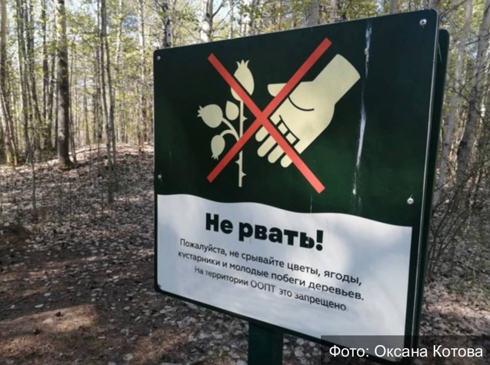 В двух природных заказниках ввели плату за вход
