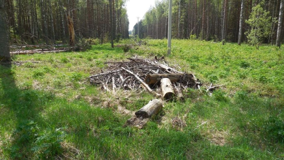 Прокуратура Меленковского района добивается устранения нарушений в сфере пожарной безопасности в лесах Прокуратура Меленковского района добивается устранения нарушений в сфере пожарной безопасности в лесах
