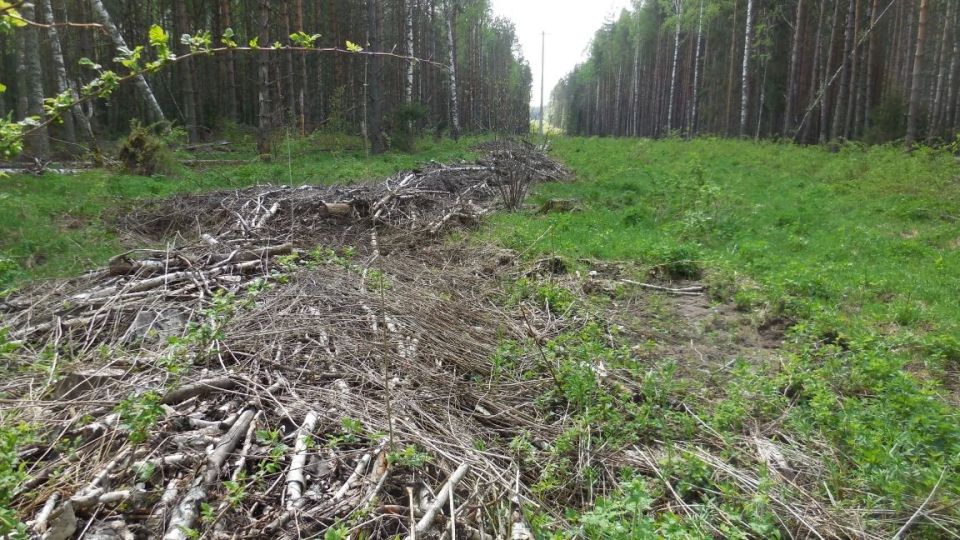 Прокуратура Меленковского района добивается устранения нарушений в сфере пожарной безопасности в лесах Прокуратура Меленковского района добивается устранения нарушений в сфере пожарной безопасности в лесах