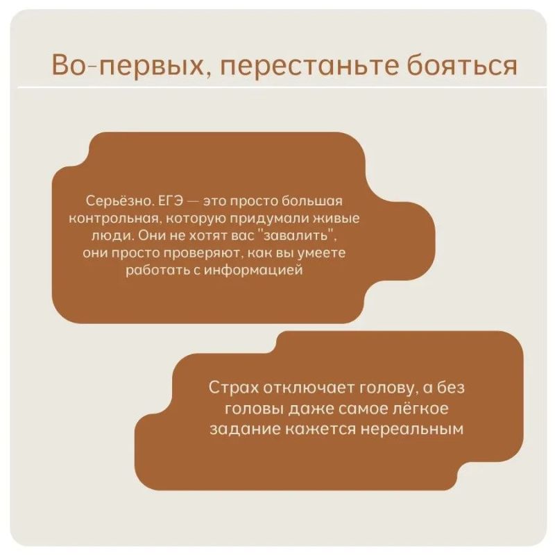 Советы от выпускников Владимирской области, набравших 100 баллов Советы от выпускников Владимирской области, набравших 100 баллов
