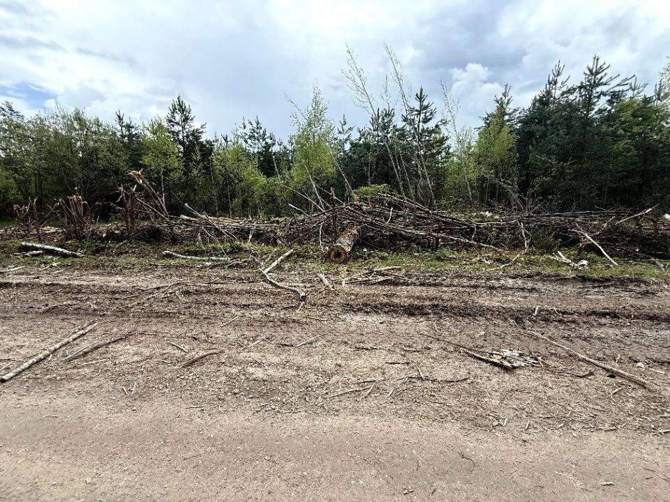 Ковровской городской прокуратурой пресечены нарушения правил пожарной безопасности в лесах Ковровской городской прокуратурой пресечены нарушения правил пожарной безопасности в лесах