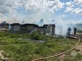 Пожар в Пестенькино унес жизни целой фермы кроликов и нутрий