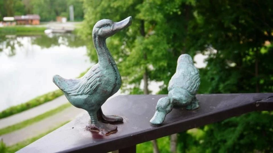 В парке в Александрове открыли историко-экологическую тропу В парке в Александрове открыли историко-экологическую тропу