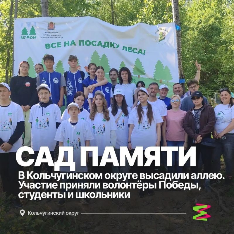 ИТОГИ НЕДЕЛЬ: молодёжка Владимирской области в событиях ИТОГИ НЕДЕЛЬ: молодёжка Владимирской области в событиях