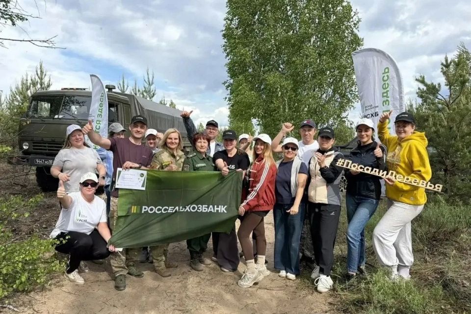 Вместе — за будущее наших лесов! Вместе — за будущее наших лесов!