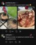 Как приготовить идеальное новогоднее меню