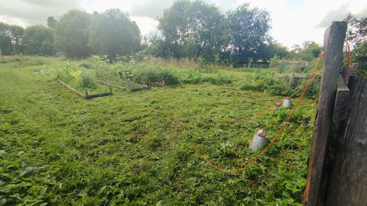 Как подготовиться к новому огородному сезону: советы и размышления