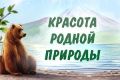 � ����� ��������������� ���������� ��������, �������� � ����������� ���������� � ���������� ����������� �������� ������������� ������ ������ � ���� ���������� ����� ���������� ��������� � ������-�������