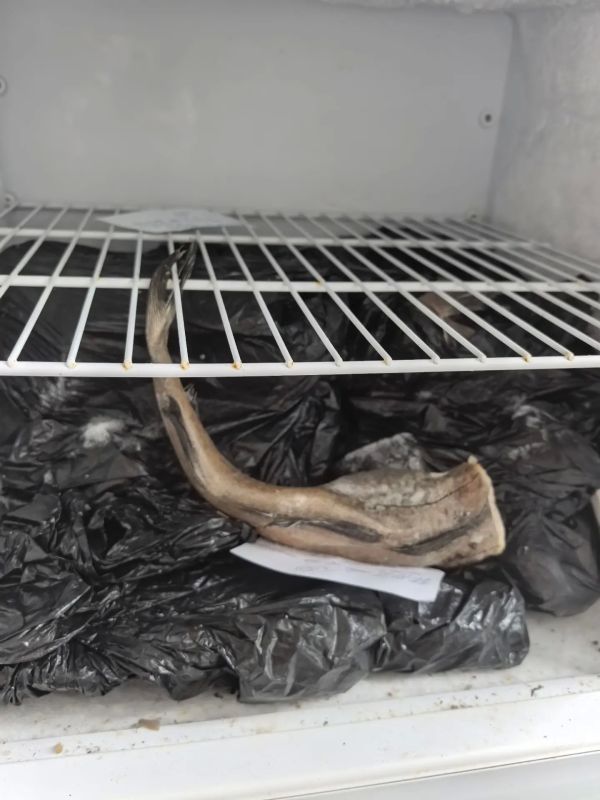 В Гороховце прокуратура добивается устранения нарушений при организации питания детей В Гороховце прокуратура добивается устранения нарушений при организации питания детей