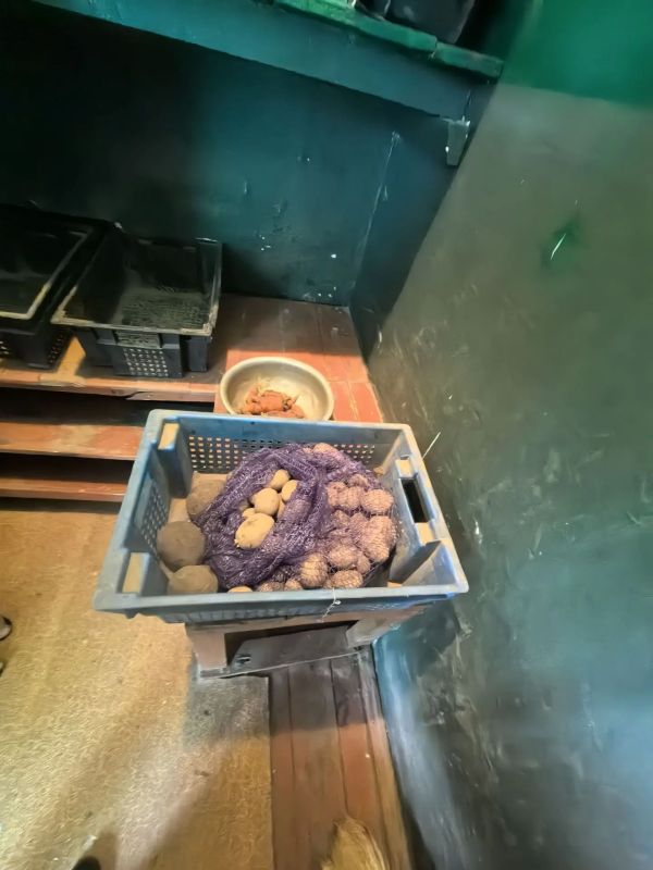 В Гороховце прокуратура добивается устранения нарушений при организации питания детей В Гороховце прокуратура добивается устранения нарушений при организации питания детей