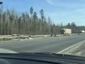 После вмешательства прокуратуры города Владимира проведен ремонт участков автомобильных дорог