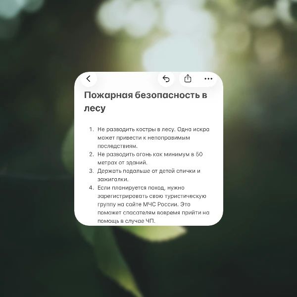 Лето - самая беззаботная пора