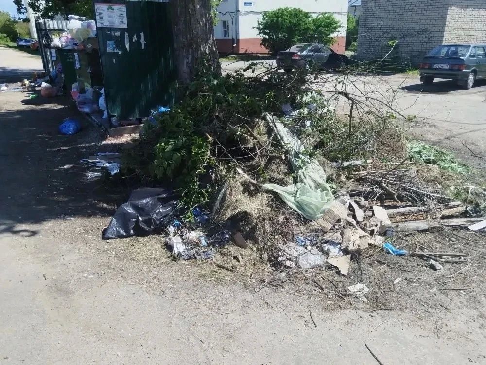 В Красной Горбатке прокурор требует привести контейнерные площадки в надлежащее состояние В Красной Горбатке прокурор требует привести контейнерные площадки в надлежащее состояние