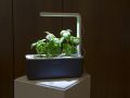 Апрель — последний шанс для огородников