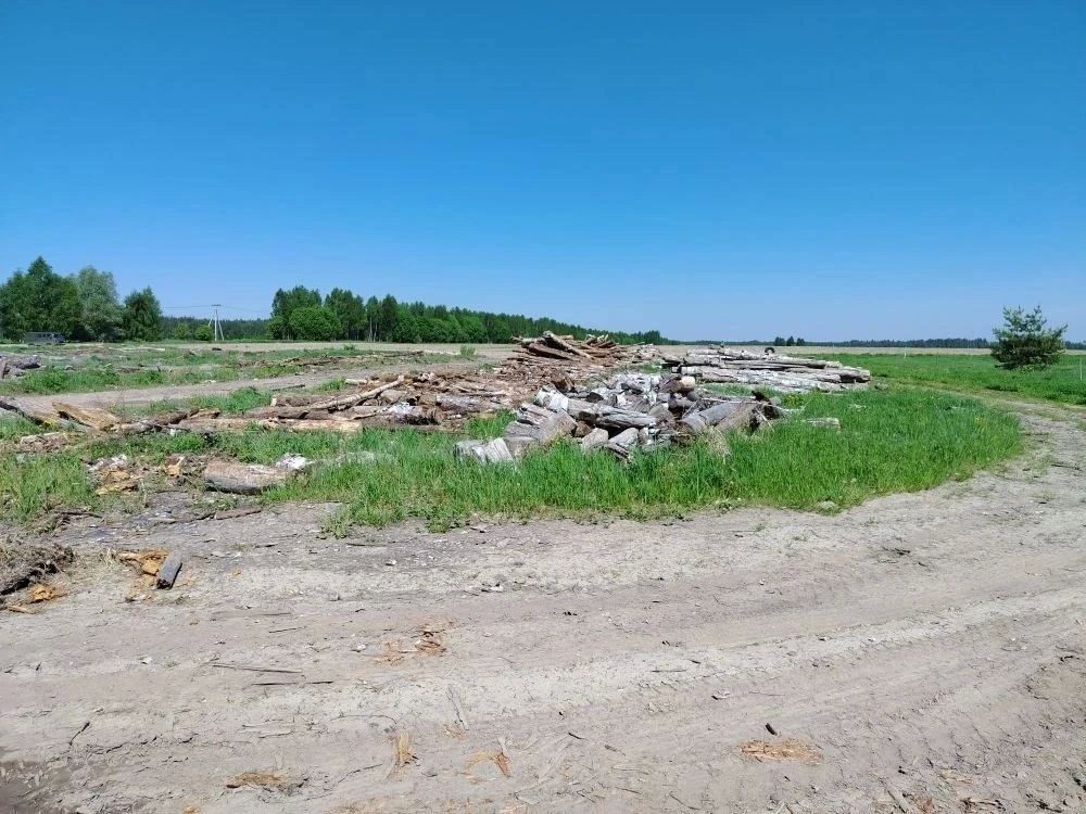 В Гороховце лесопользователям, самовольно занявшим земельные участки под складирование заготовленной древесины, на основании постановлений прокурора назначены крупные штрафы В Гороховце лесопользователям, самовольно занявшим земельные участки под складирование заготовленной древесины, на основании постановлений прокурора назначены крупные штрафы