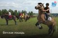 Сегодня, 11 июля, отмечается Всемирный день лошади
