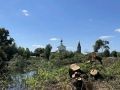 В Суздале приступили к расчистке территории вокруг пруда на улице Коровники