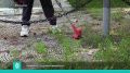 � �������� ���� ����� ��������������� ������� ����������� �������