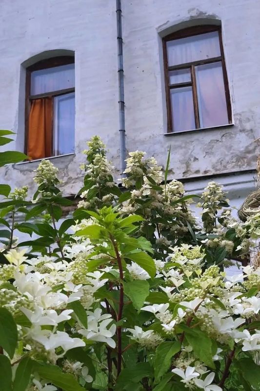 Путешествие во времени: в селе Жерехово «расцвела» усадьба Всеволожских-Оболенских Путешествие во времени: в селе Жерехово «расцвела» усадьба Всеволожских-Оболенских