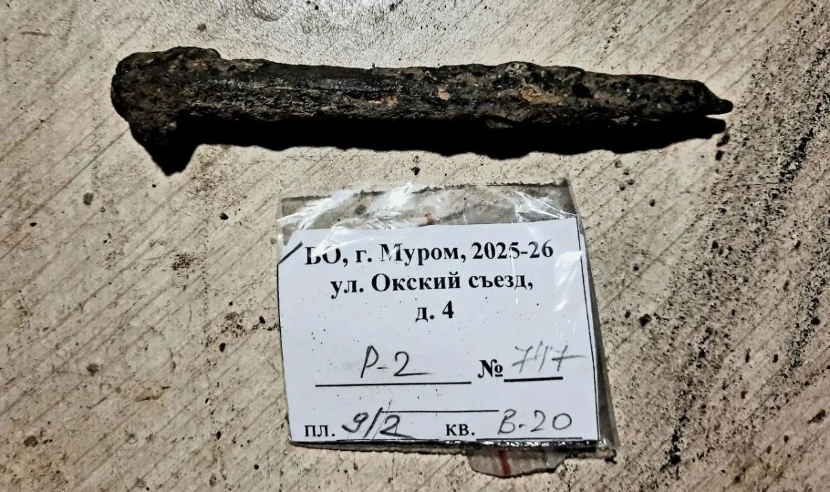 В Окском парке Мурома нашли средневековый инструмент В Окском парке Мурома нашли средневековый инструмент