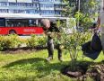Иргу, бересклет и спирею высадили на пересечении Горького и проспекта Строителей