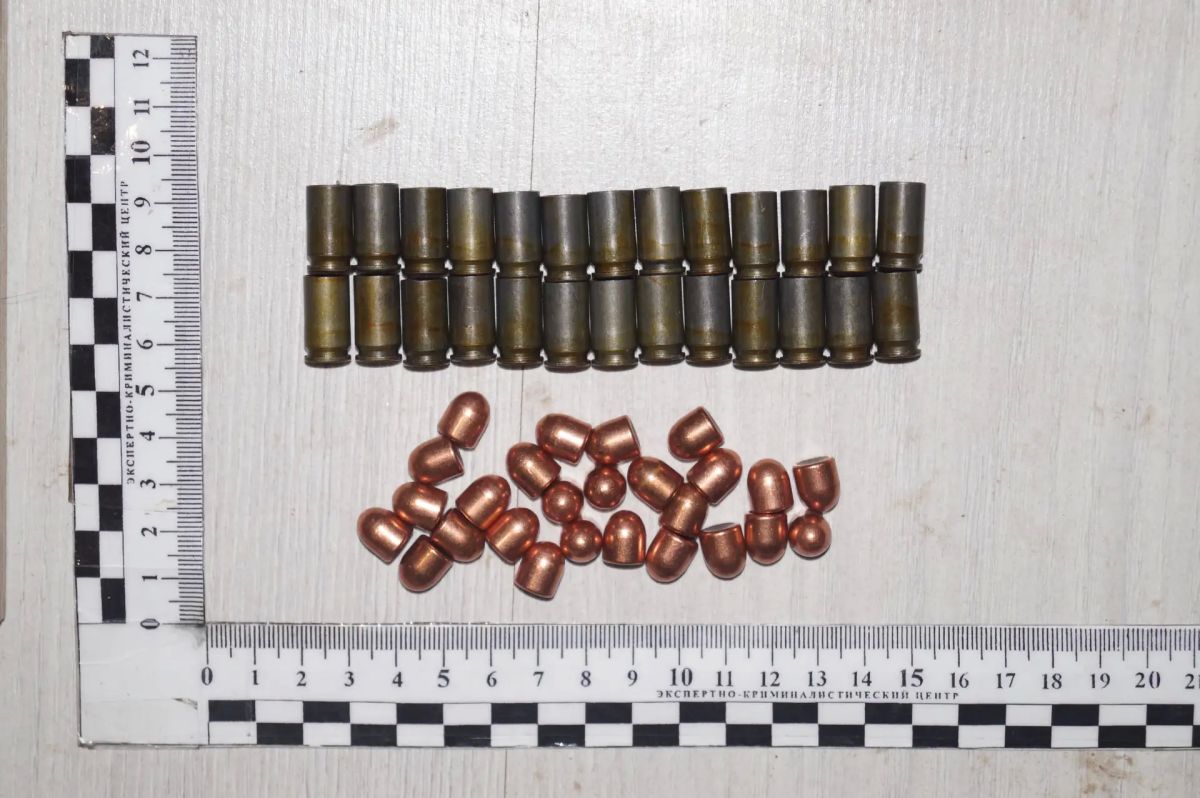 В Александрове перед судом предстанет местный житель по обвинению в убийстве знакомого и незаконном обороте огнестрельного оружия В Александрове перед судом предстанет местный житель по обвинению в убийстве знакомого и незаконном обороте огнестрельного оружия