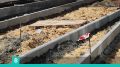 Двухкилометровый бульвар с цветниками и велодорожками сделают на улице Строителей в Коврове