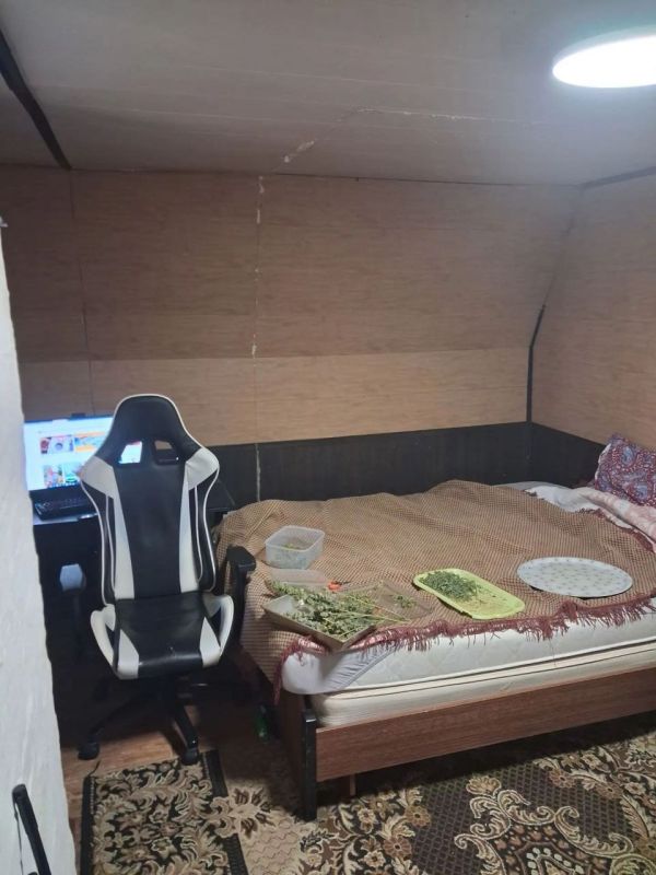 В Кольчугино прокурор отправил на скамью подсудимых местного жителя за хранение марихуаны и растений конопли В Кольчугино прокурор отправил на скамью подсудимых местного жителя за хранение марихуаны и растений конопли