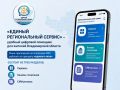 «Единый региональный сервис» – удобный цифровой помощник для жителей Владимирской области