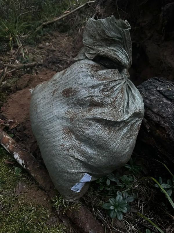 Во Владимирской области прокуратура направила в суд уголовное дело о производстве более 110 кг синтетических наркотиков Во Владимирской области прокуратура направила в суд уголовное дело о производстве более 110 кг синтетических наркотиков