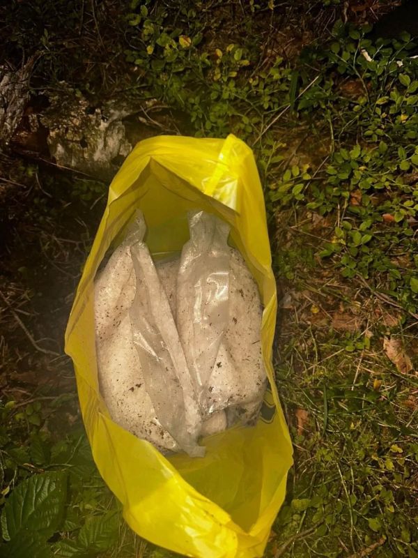 Во Владимирской области прокуратура направила в суд уголовное дело о производстве более 110 кг синтетических наркотиков Во Владимирской области прокуратура направила в суд уголовное дело о производстве более 110 кг синтетических наркотиков