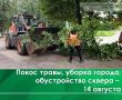 �������, 14 �������, ���������� ���������� ���������� ������ �� ��. �����������
