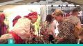 Село Суромна стало площадкой гастрономического фестиваля «КапустнякЪ»