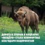 Хотите познакомиться с настоящими гигантами дикой природы? Тогда вам в национальный парк «Мещёра»!