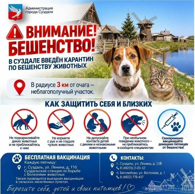 В Суздале введен карантин по бешенству животных В Суздале введен карантин по бешенству животных