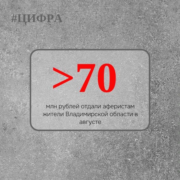 По данным УМВД России по Владимирской области, в августе поступило 116 сообщений о преступлениях, совершённых в отношении местных жителей с использованием IT-технологий