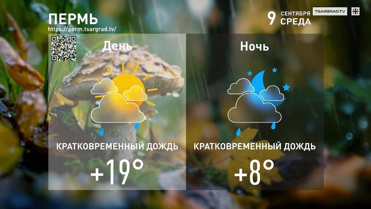 Раззолоченные, но чахлые сады