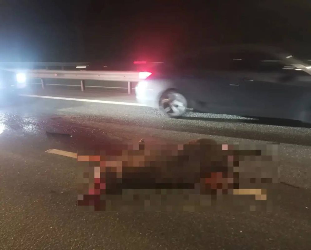 Авария с участием трёх машин произошла на трассе М-12 в Собинском округе Авария с участием трёх машин произошла на трассе М-12 в Собинском округе