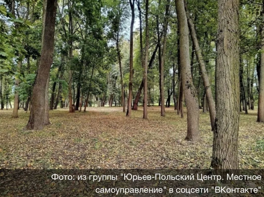 В Юрьев-Польском округе благоустраивают старинный парк в усадьбе Голицыных
