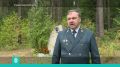 Судогодском округе отметили День работников леса