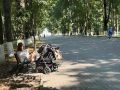 356 млн рублей вернули в рамках новой семейной выплаты владимирским родителям двух и более детей