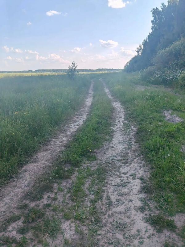 В Кольчугино судом удовлетворен иск прокурора о приведении сельской дороги в надлежащее состояние В Кольчугино судом удовлетворен иск прокурора о приведении сельской дороги в надлежащее состояние