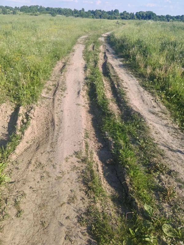В Кольчугино судом удовлетворен иск прокурора о приведении сельской дороги в надлежащее состояние В Кольчугино судом удовлетворен иск прокурора о приведении сельской дороги в надлежащее состояние