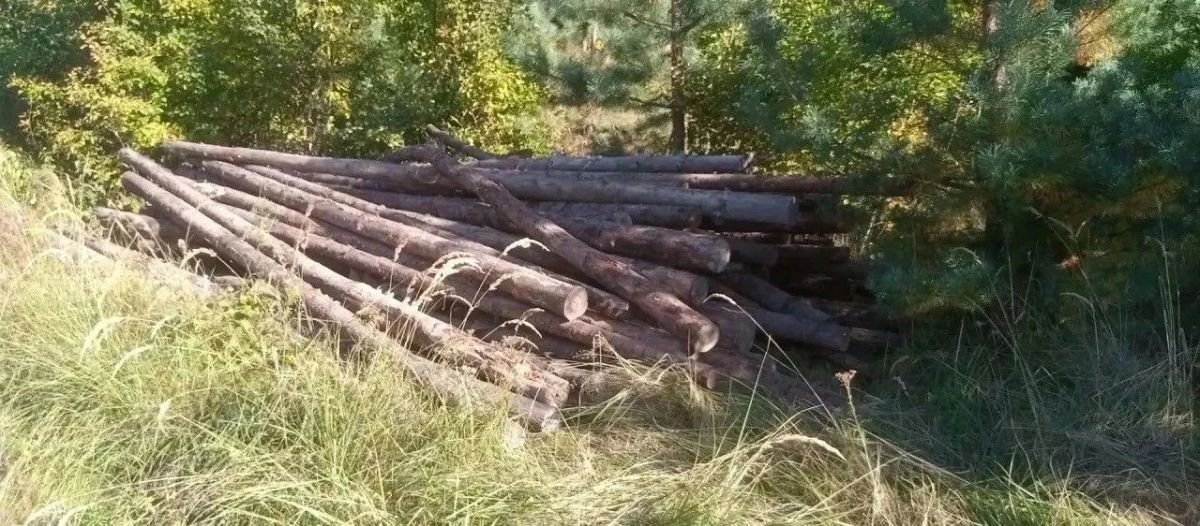 Из владимирских пиломатериалов построили защитные сооружения в зоне СВО на Волчанском направлении Из владимирских пиломатериалов построили защитные сооружения в зоне СВО на Волчанском направлении