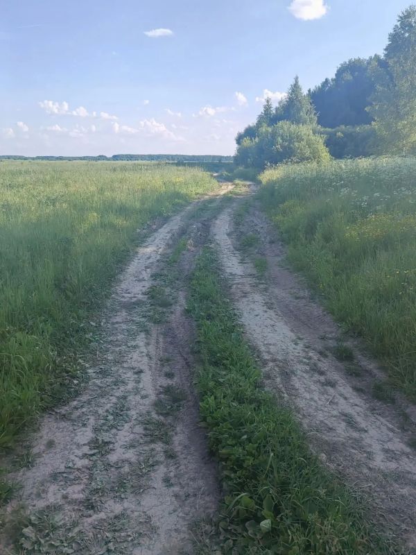 В Кольчугино судом удовлетворен иск прокурора о приведении сельской дороги в надлежащее состояние В Кольчугино судом удовлетворен иск прокурора о приведении сельской дороги в надлежащее состояние