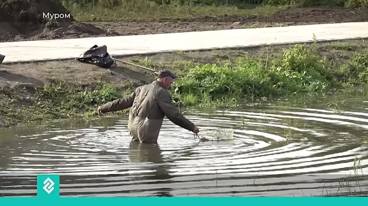 В Муроме городские службы продолжают очищать Ждановский пруд на улице Московской