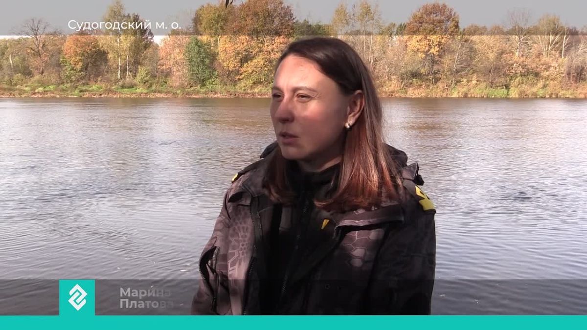 Около полутысячи сазанов выпустили в Клязьму в районе села Спас-Купалище